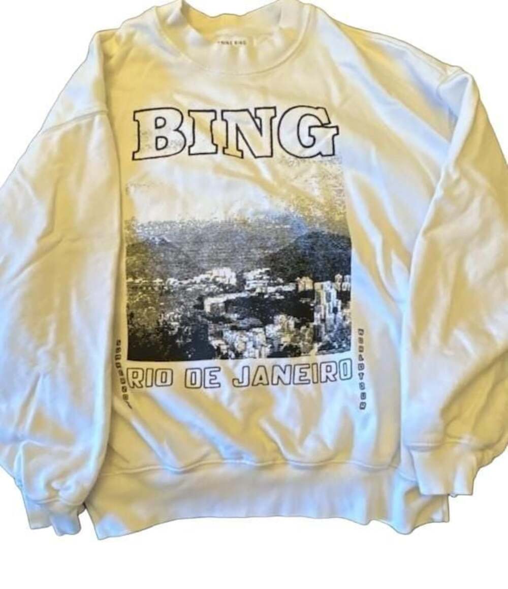 Anine Bing